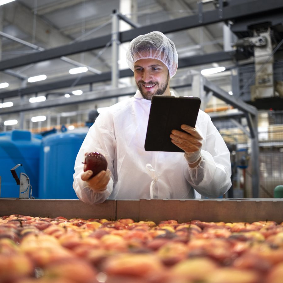 Technologist doing quality control of apple fruit production in food processing plant.